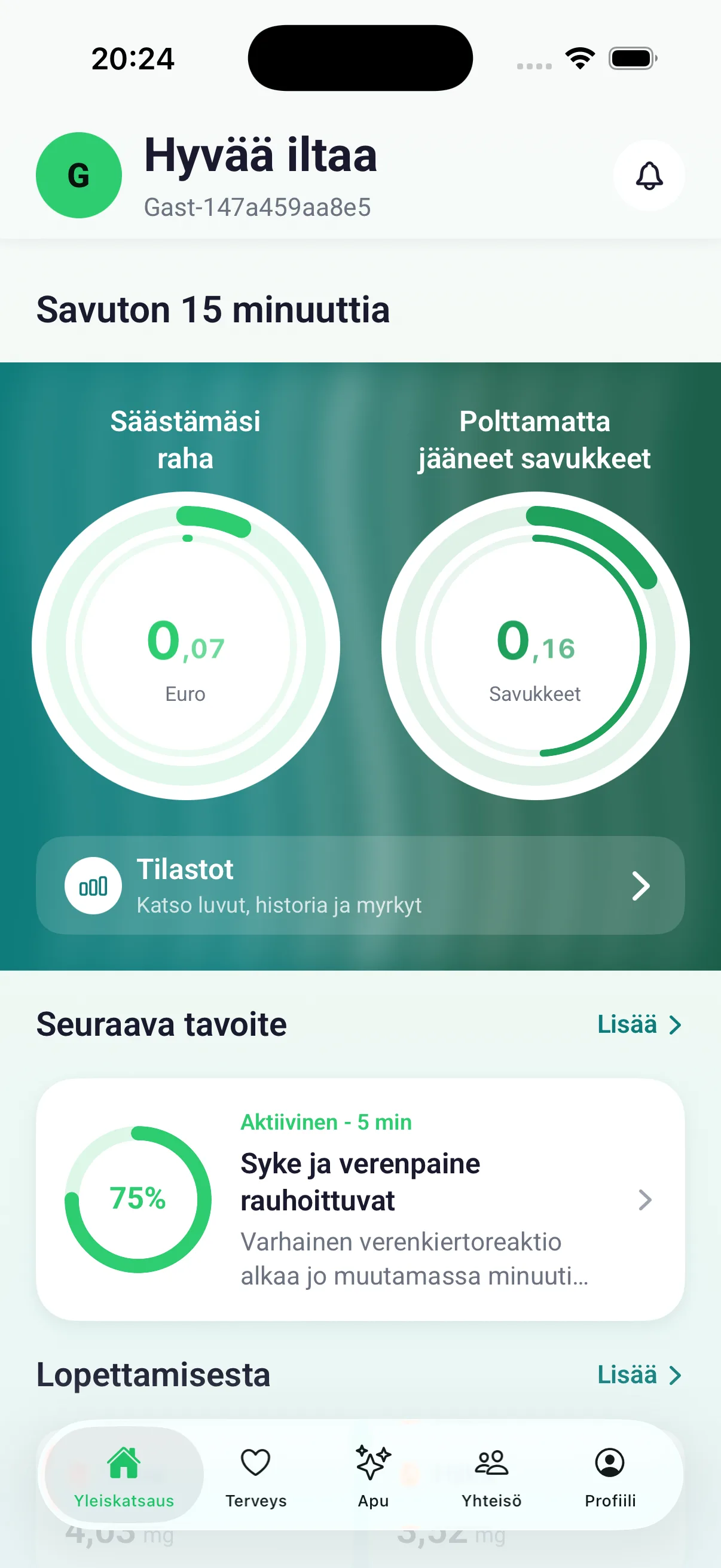 Näkymä, jossa laskurit näyttävät säästetyn rahan ja polttamatta jääneet savukkeet